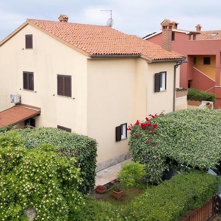 Apartments Mirella Novigrad Istria Extérieur photo