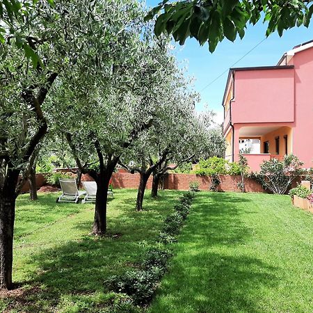 Apartments Mirella Novigrad Istria Extérieur photo