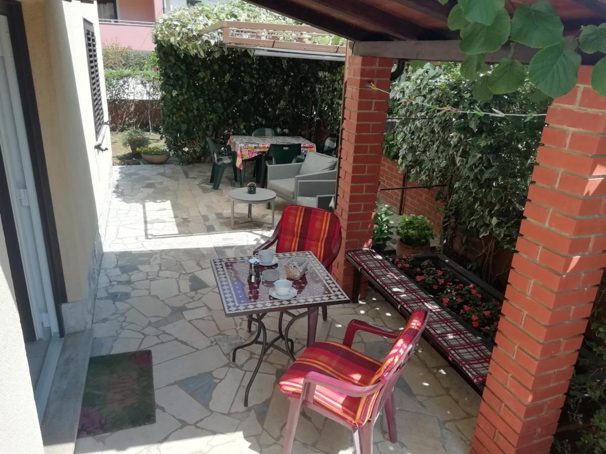 Apartments Mirella Novigrad Istria Extérieur photo