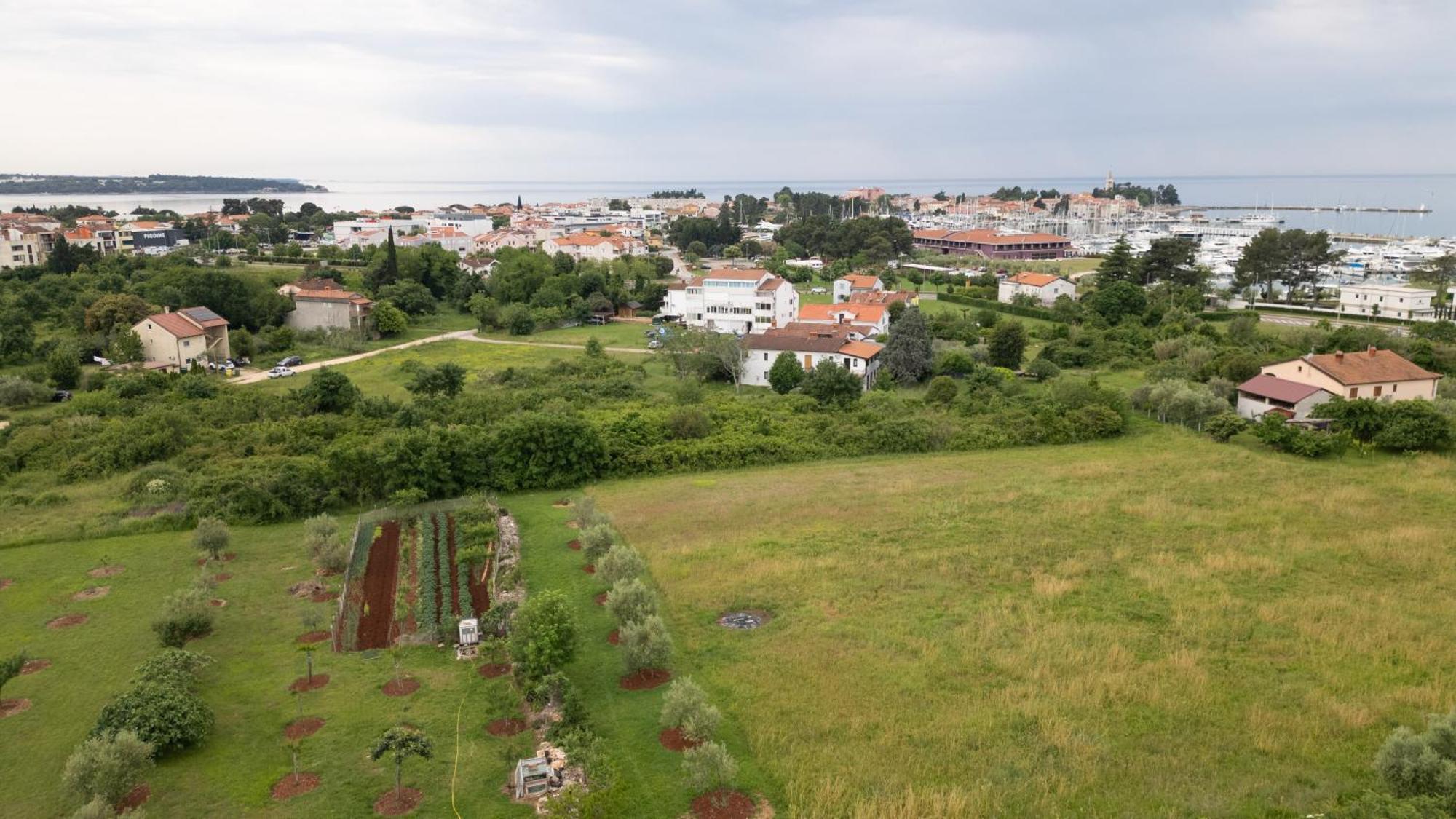 Apartments Mirella Novigrad Istria Extérieur photo