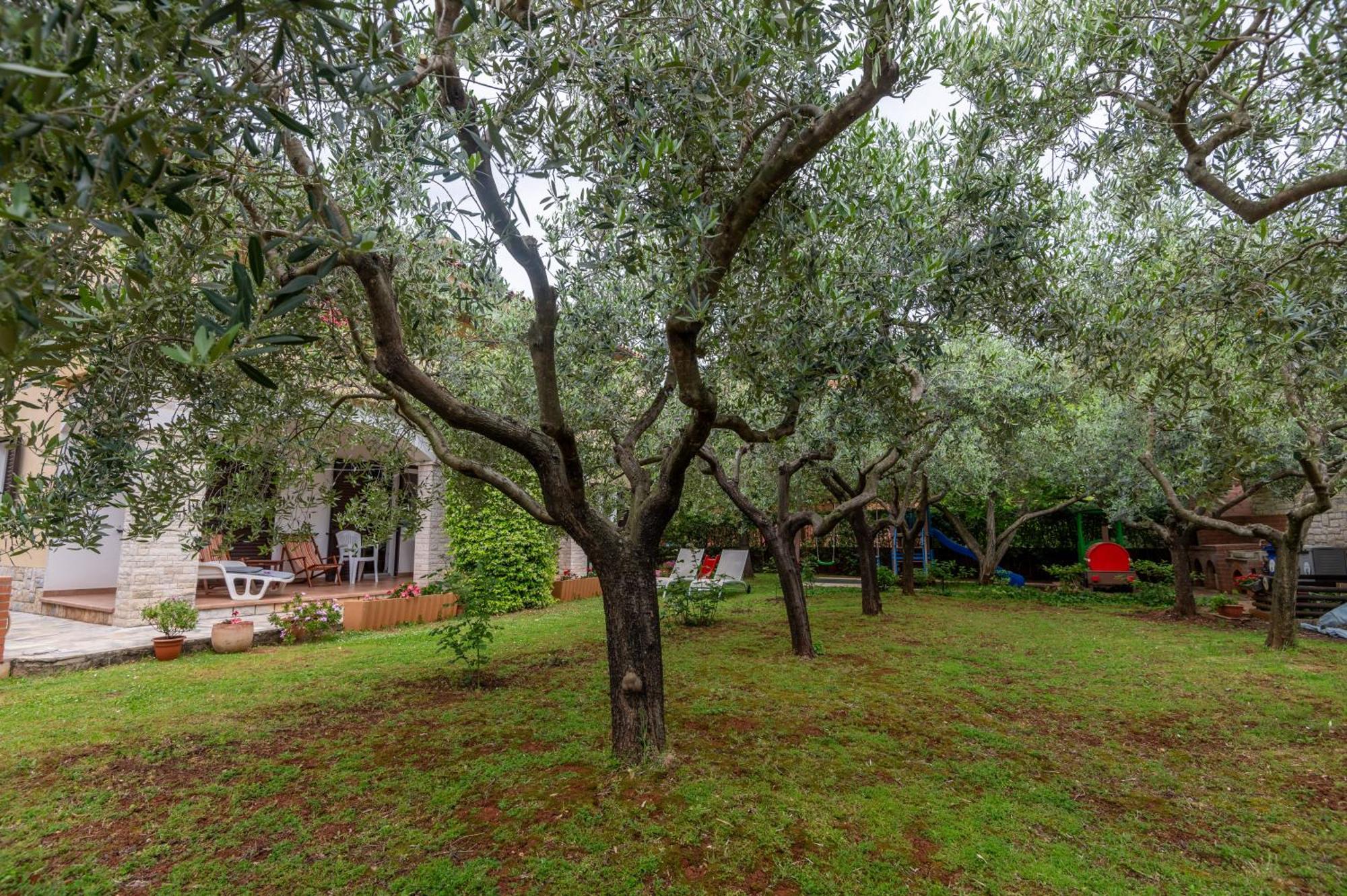 Apartments Mirella Novigrad Istria Extérieur photo