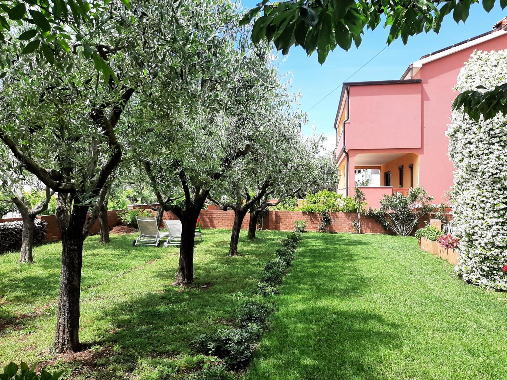 Apartments Mirella Novigrad Istria Extérieur photo